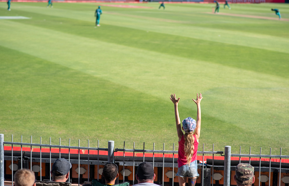 Conception Professionnelle de Terrain