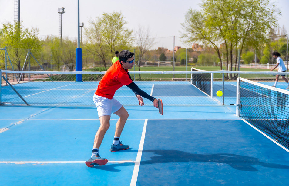 Conception Professionnelle de Terrains et de Champs