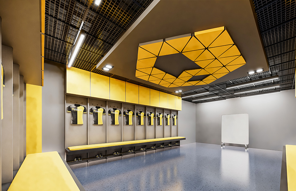 Installations pour Joueurs de Niveau Professionnel