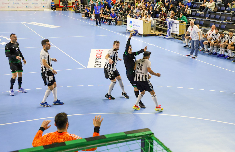 Normes de la IHF