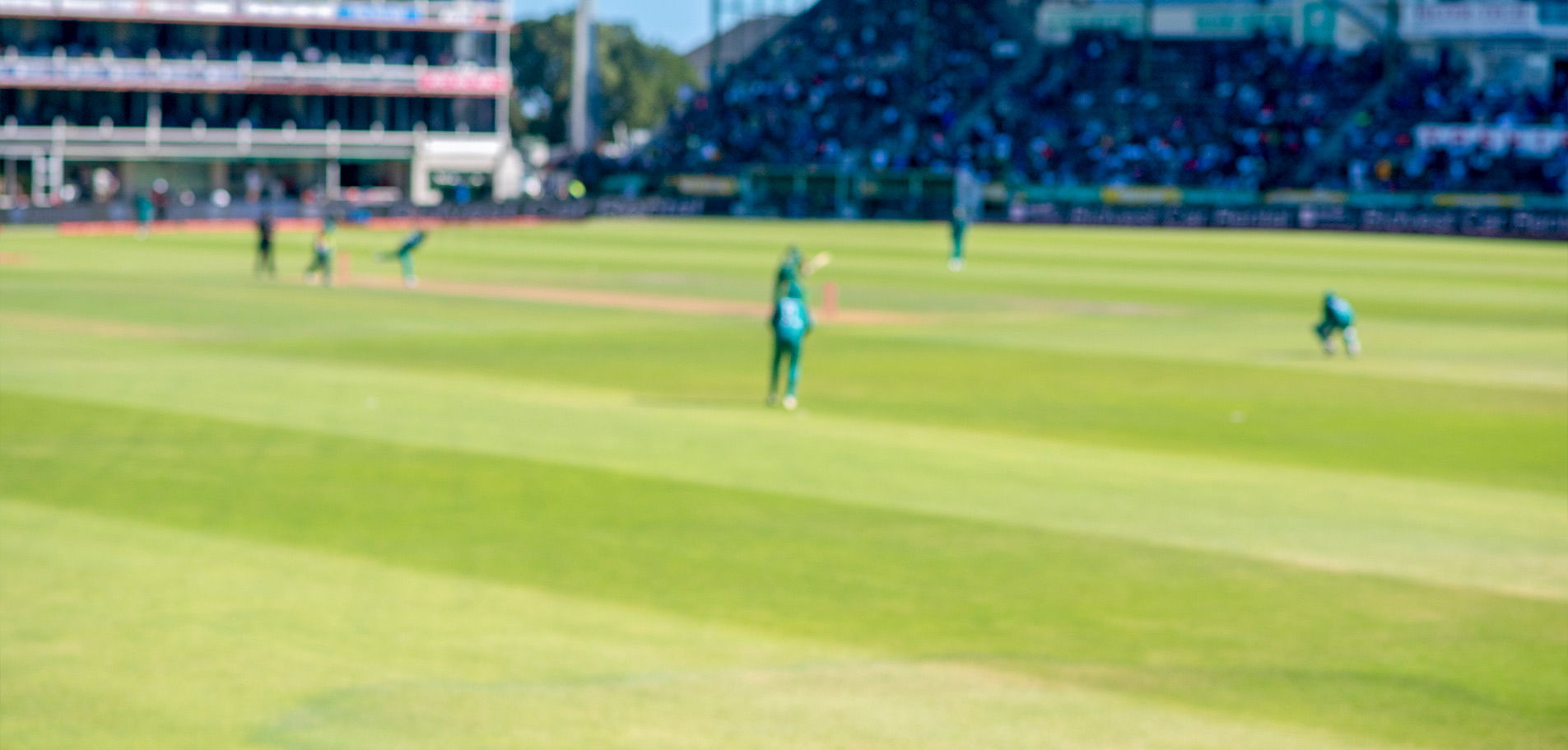 Terrain de Cricket