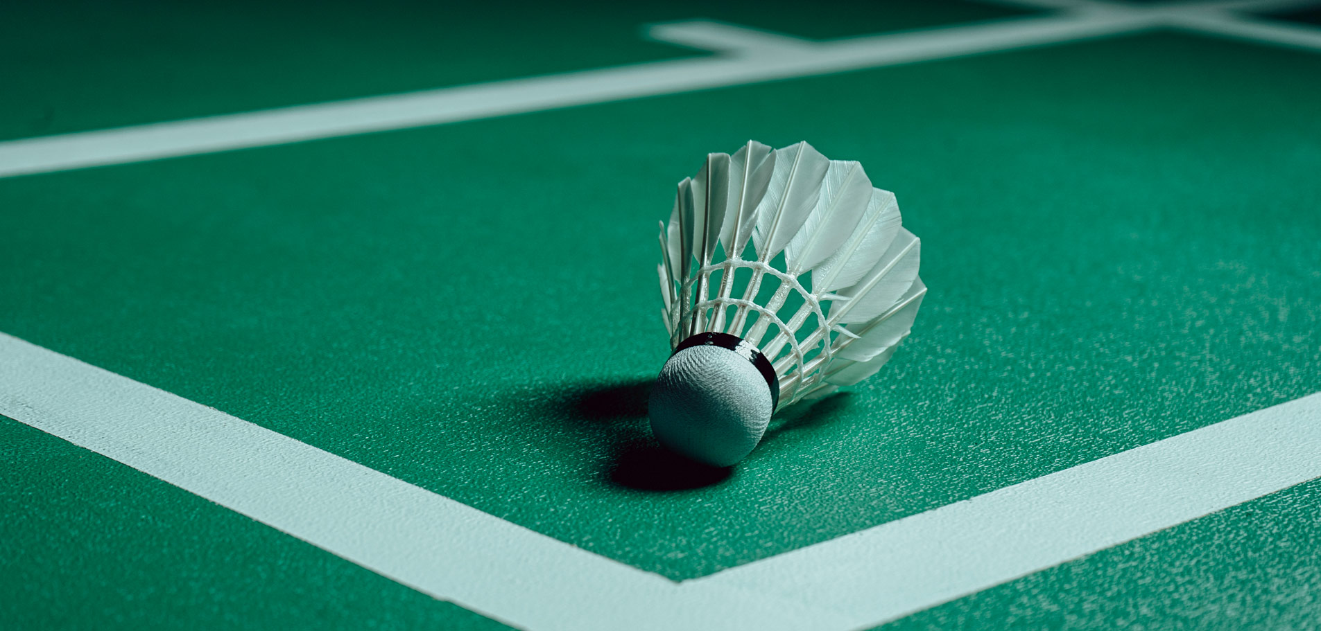 Terrains de badminton modulaires