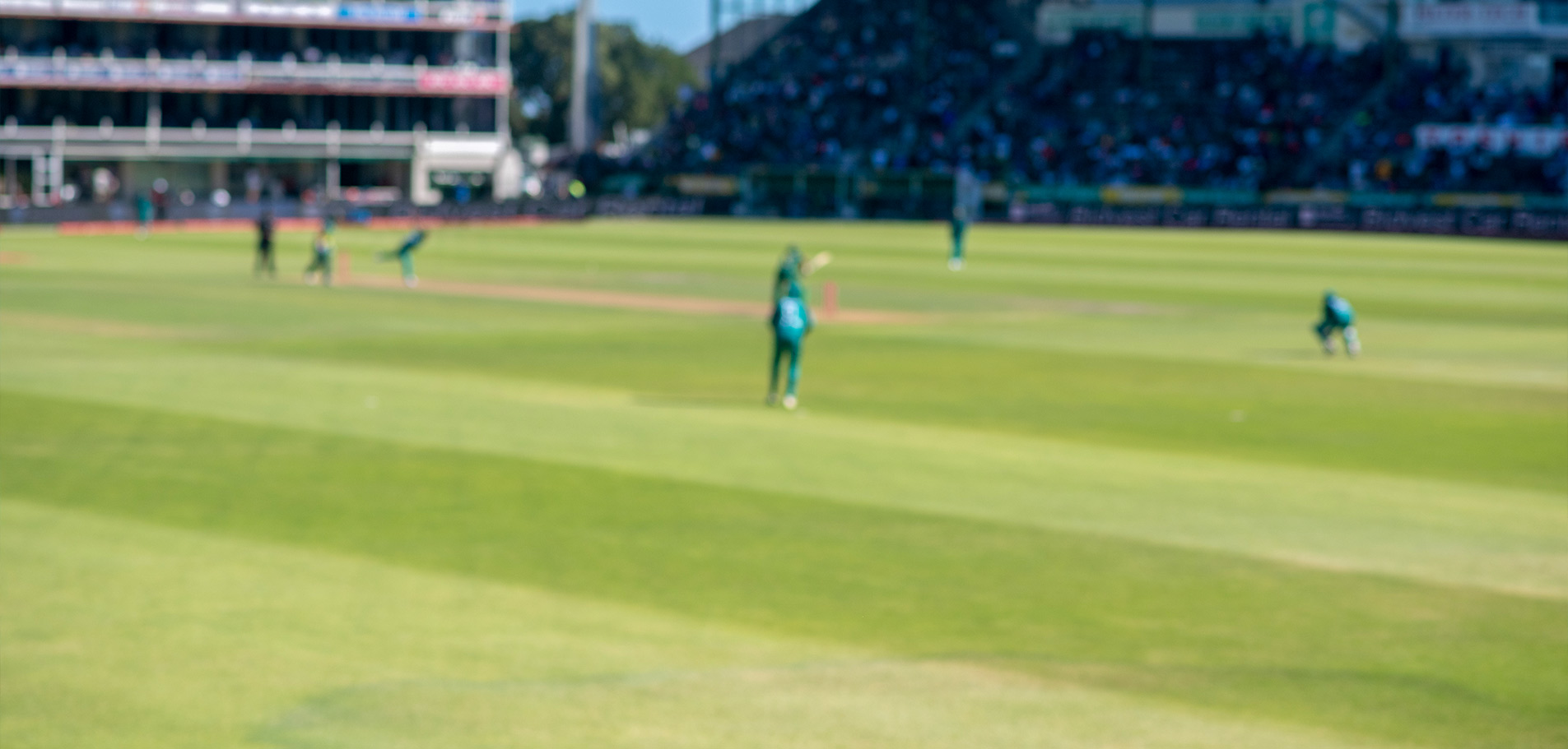 Terrains de Cricket