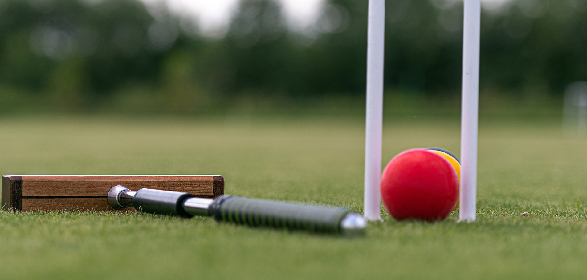 Terrains de Cricket