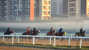 Training Track