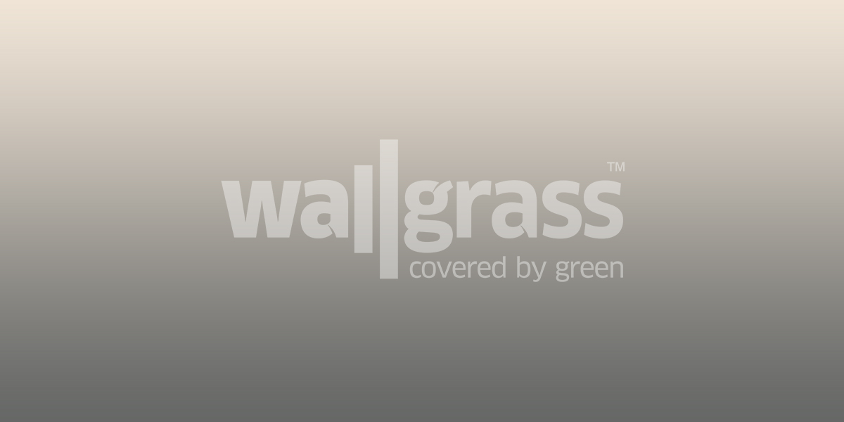 investissement dans des terrains de padel