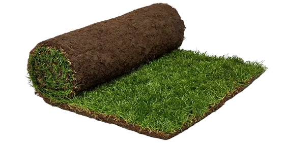 Gazon Naturel