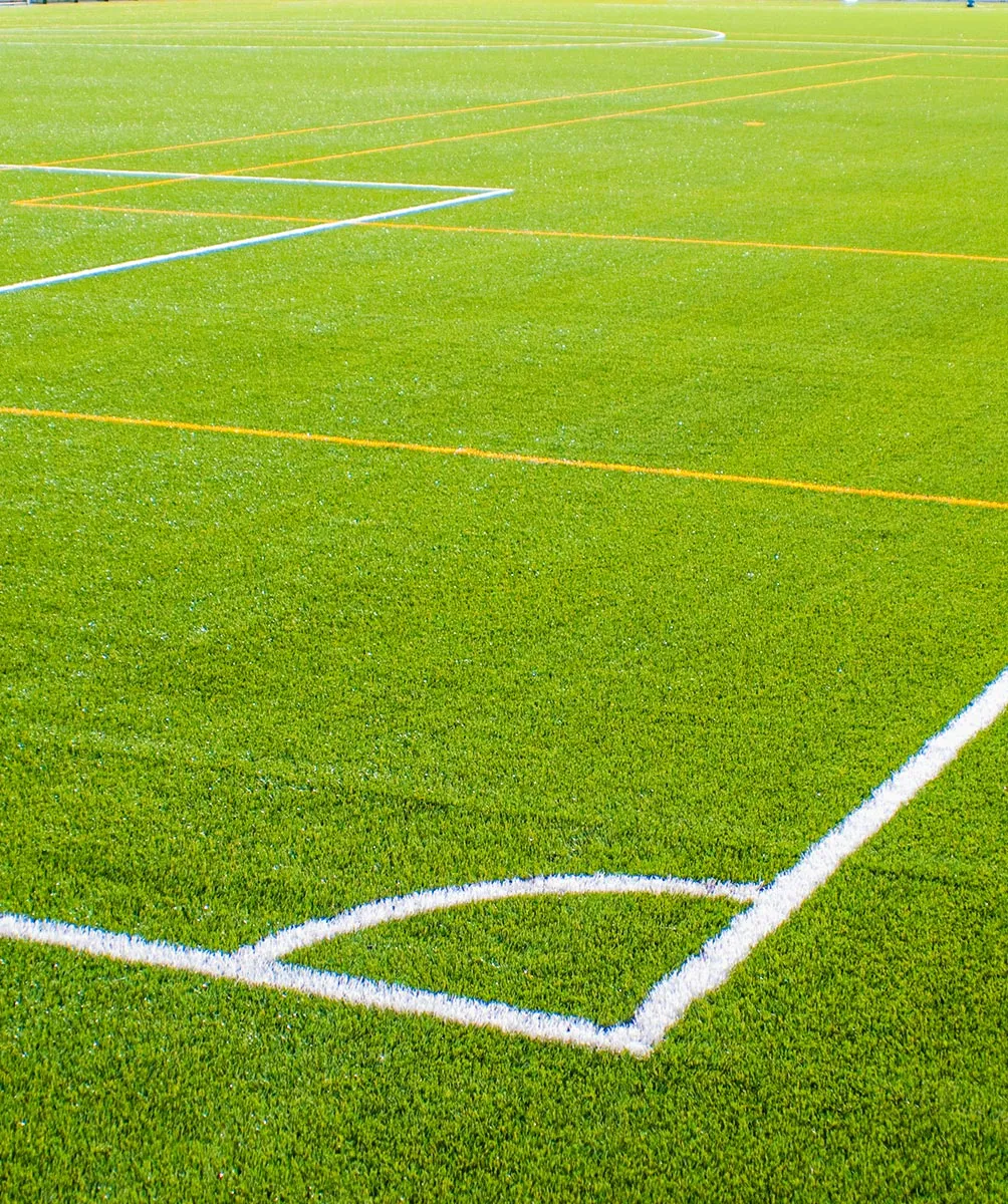 Gazon Artificiel PowerGrass